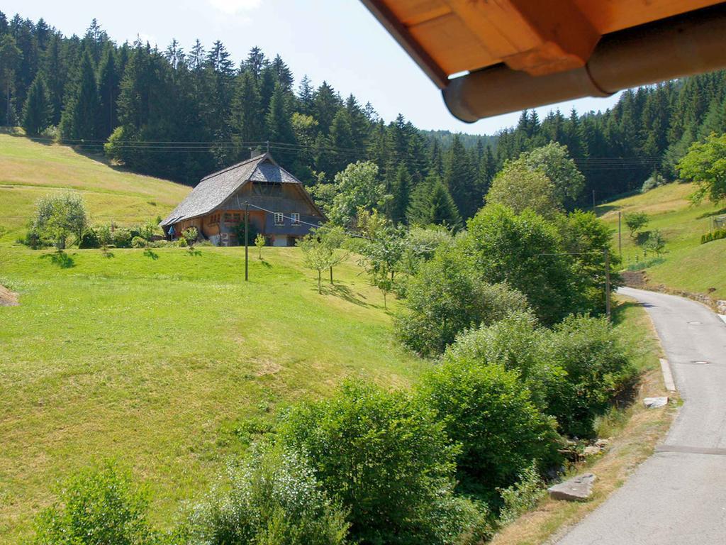 Gastehaus Herrmann Bad Rippoldsau-Schapbach Exterior photo